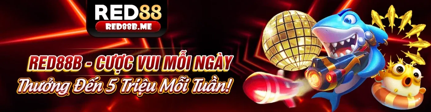 Nền tảng 5mb với các ưu điểm vượt trội